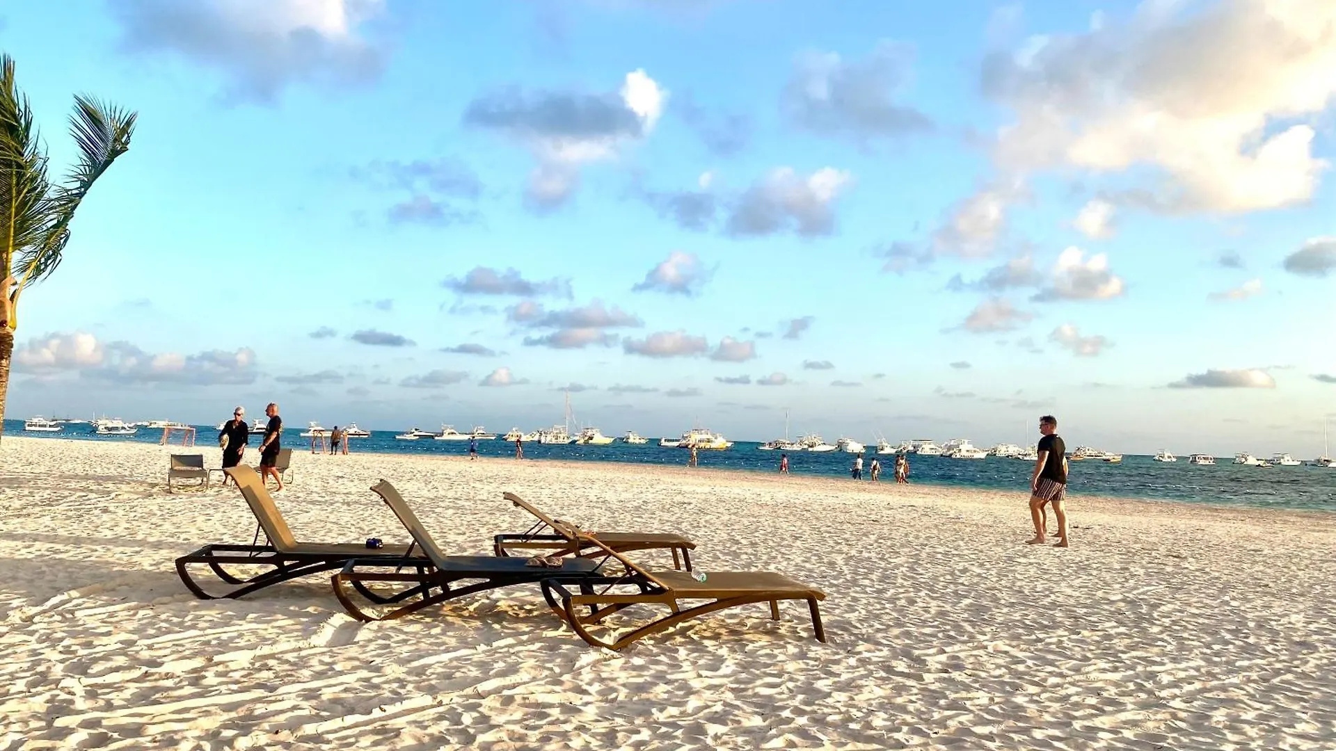 Your Crissere Tropical Dream Rd Punta Cana